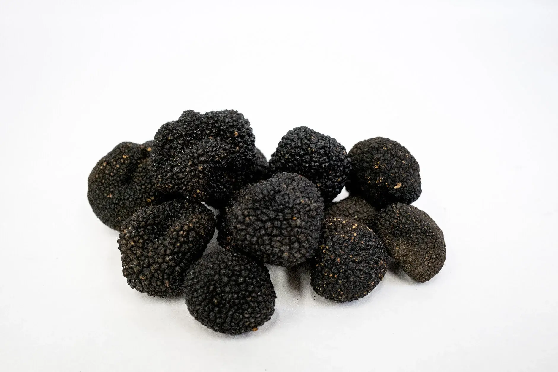 La Truffe d'été