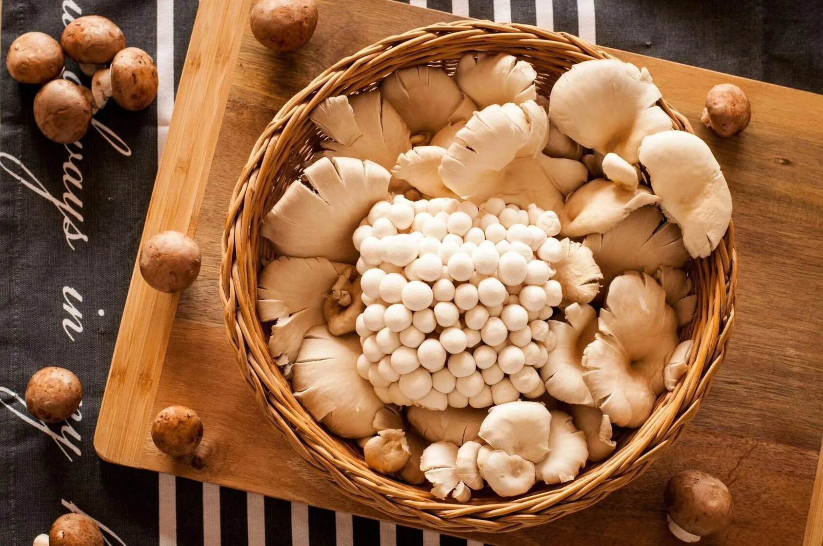 Une passion transmise,
un terroir cultivé