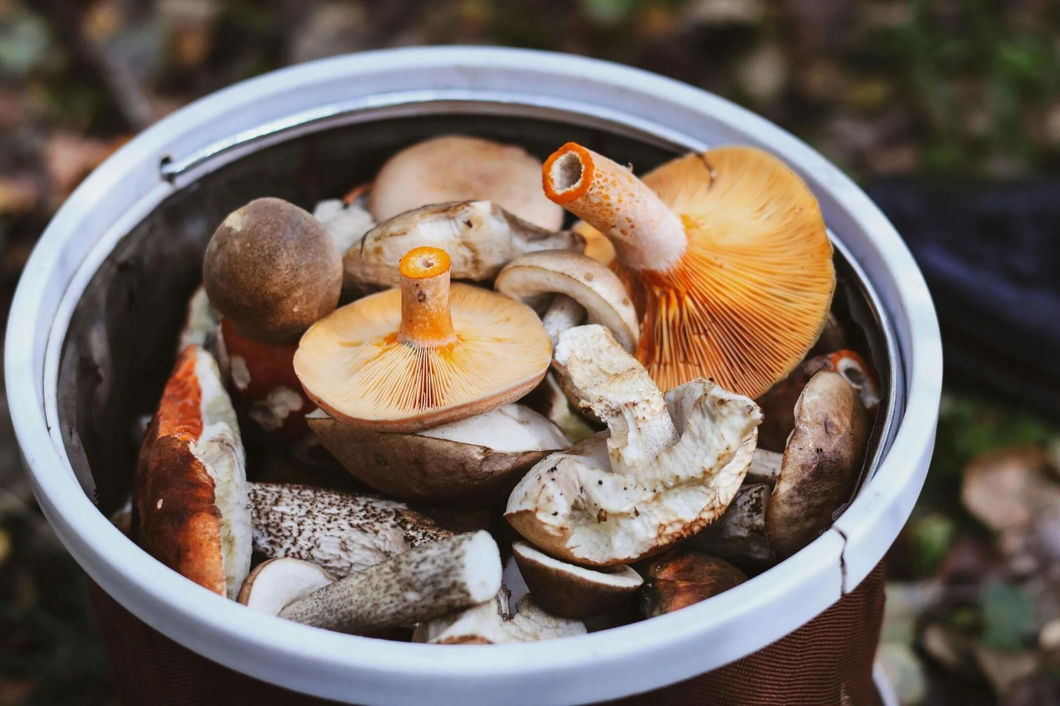 De la terre
&agrave; votre table